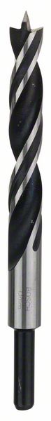 Bosch Štandardné špirálové vrtáky do dreva 13 x 96 x 151 mm, d 10 mm 1ks 2608596310