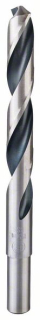 Bosch Skrutkovitý vrták HSS PointTeQ 13,5 mm (redukovaná stopka) 1ks 2608577305
